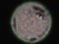 Unidentified Science??