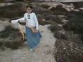 videos de Pnei Kedem Kite Festival