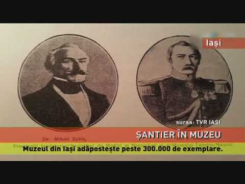Muzeul de Istorie Naturală din Iași a intrat în renovare. Elefantul Gaba rămâne în șantier
