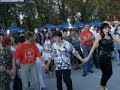 Mladi socijaldemokrati Laktasi