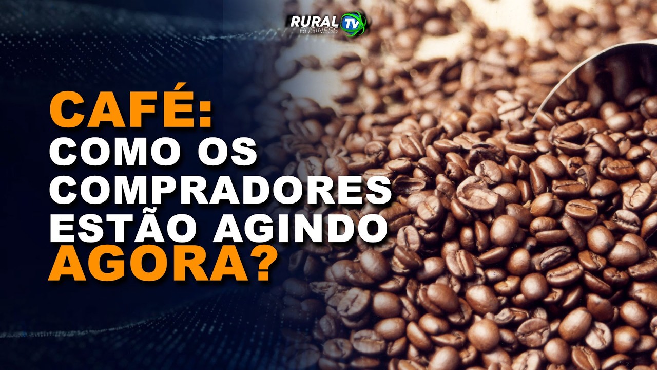 CAFÉ: COMO OS COMPRADORES ESTÃO AGINDO AGORA?