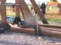 Lanzado desde Catapulta