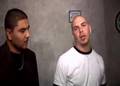 Pitbull Inverview