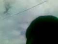 videos de la negrita lavando el canguro.