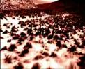 relk - general moragues (videoprojecci� 2006)