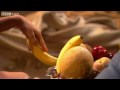 India de Beaufort video 2