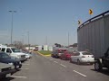 gallo-at-the-new-tec-campus-cuernavaca.html