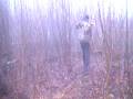 How to shoot a rabbit with a 7mm (Mikmaq Rabbit Hunters)