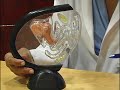 Vaginal Rejuvenation by Laser Vaginal Rejuvenation by Laser
