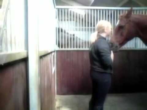 Goodbye Ginger Lily, Love you ♥