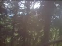 Mountain Biking Silverstar, BC