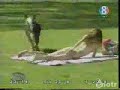 قروب سكس كام سكسي كام صور افلام مقاطع نيك