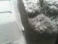 videos de first snowfall :]