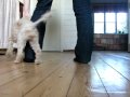 Zoë doing the eight