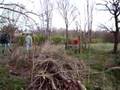 videos de Tanthof knotten deel 3