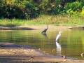 videos de Tennessee River