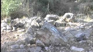 تقرير عين غزال - تلفزيون فلسطين