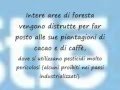 MULTINAZIONALI /1 - boicottiamo NESTLE'