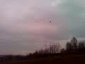 Honey Bee King 2 9T 3100KV Wrong akku! Honey Bee King 2 9T 3100KV Wrong akku!