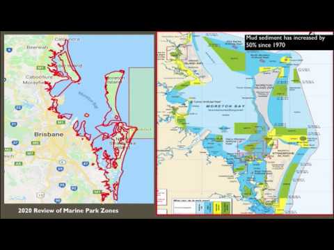 <p>Has 30 years of Counting Shorebirds in  Moreton Bay Improved Conservation?</p>
 video thumbnail