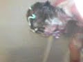 rub a dub dub
