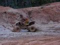 4 wheeler muding