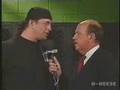 Wrestlecrap Montage