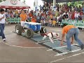 Dogstar Panama, Evento Weight Pulling, San Felix