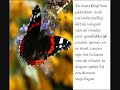 Nocturne-Secret garden