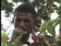 Make Disciples - Part6 Papua New Guinea