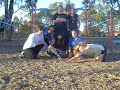 the group doing what they do best