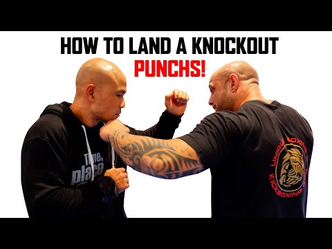 How to land a knockout punch | Master Wong