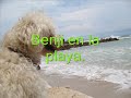 Benji de vacaciones