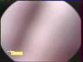 Channel Live - Mad Izm (f KRS One)