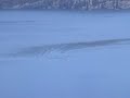 ogopogo sightings