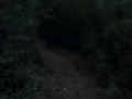 munny sokol park - trail head to della raye around dusk
