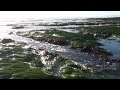 091231 HD low tide west Haskell Beach Goleta California 162536