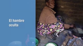 Sistemas Alimentarios Sostenibles en favor de unas Dietas Saludables y de la 