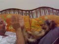 BRINCANDO DE CERECESSE.mp4