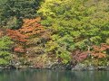 在秋日的十和田湖遊覽船上 (Towada Lake's cruise)