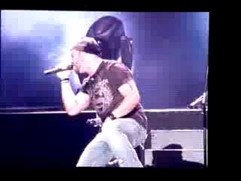 Concierto Daughtry en Delaware 1