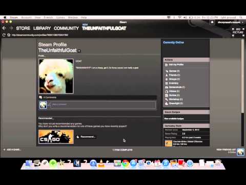 how to set steam profile to public