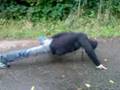 videos de Liegestütze