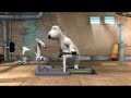 tredmill fall (bear style) tredmill fall (bear style)