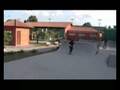 RodRigo PoRoGo: FS Shov-it Reverse