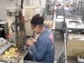 Screwfeeder C-50-1