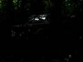 videos de MVI_4904.avi