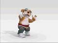 Perro rompe