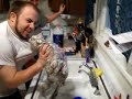 Cat Bath Cat Bath