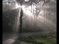 Wayanad Videos, Kerala, India Wayanad Videos, Kerala, India